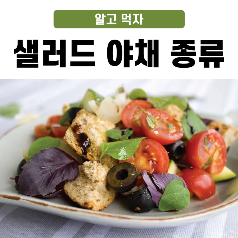 샐러드 야채 종류 알고 먹자