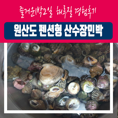 원산도 펜션형민박 산수장민박에서 즐거운1박2일 해루질 경험후기 원산도 펜션형민박 산수장민박에서 즐거운1박2일 해루질 경험후기