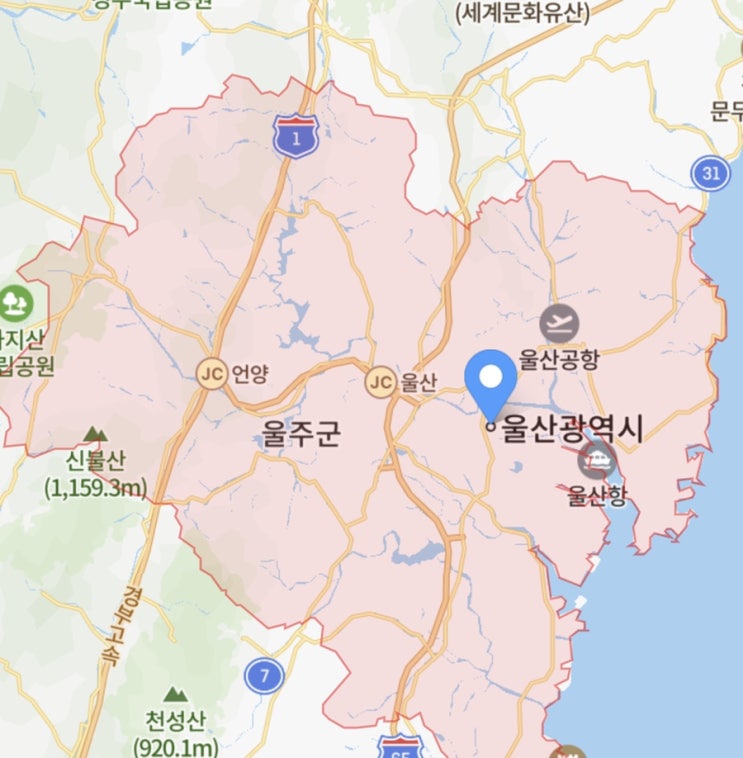울산 코로나 확진자 2명! 서울에 머물다 오한으로 앓다 확진자 판정!