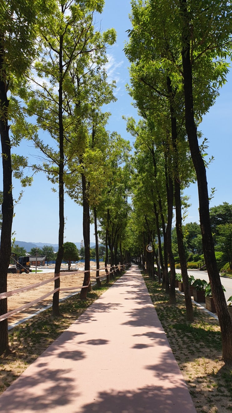 곡성 장미축제 꽃은 없었지만 재미있게 놀다