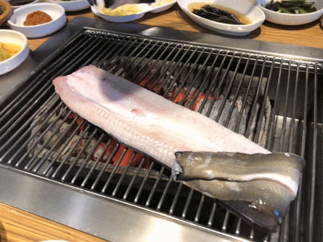  이천농원 장어직판장 자유 이천마이다스cc 맛집