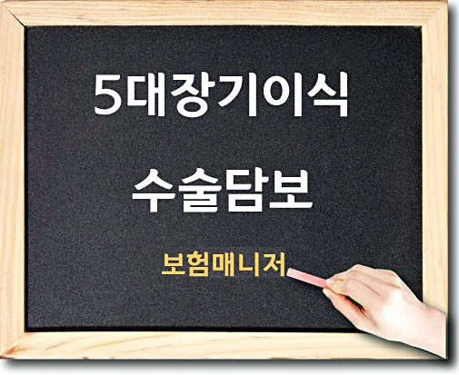  현대해상 태아보험 5대장기이식수술 알아보기