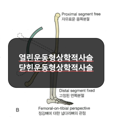  열린운동형상학적사슬(open kinematic chain)과 닫힌운동형상학적사슬(closed kinematic chain)