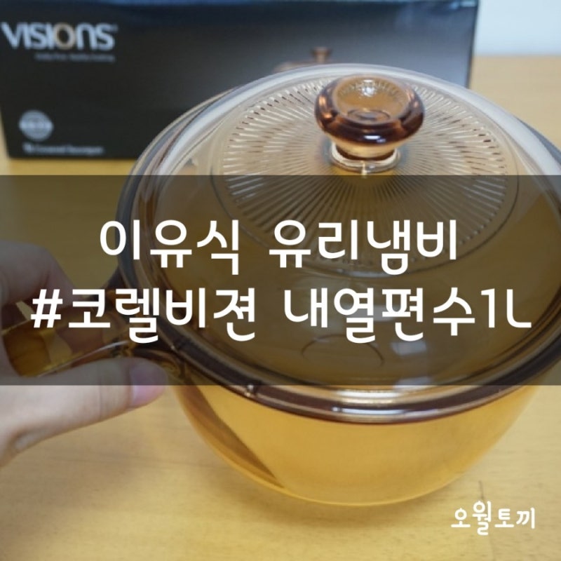 이유식 유리냄비 코렐 비젼 1L 편수 장점 단점