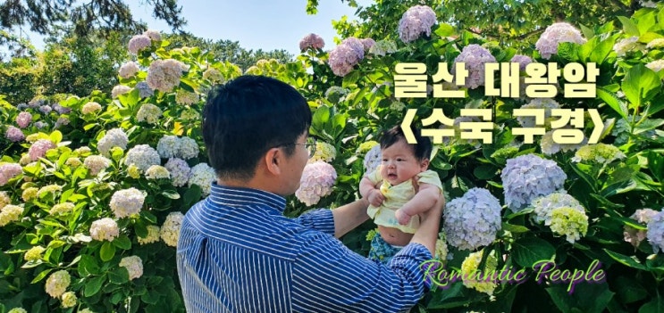 울산 여행지추천&lt;울산 대왕암(수국 구경)&gt;