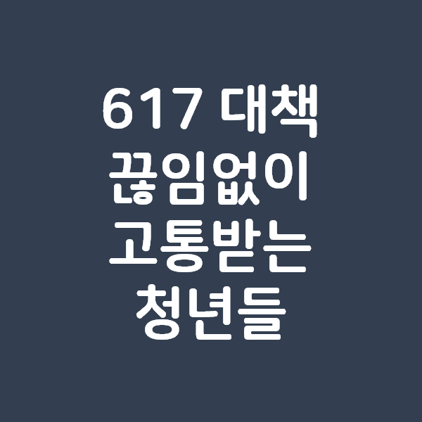 617 대책 끊임없이 고통받는 청년들