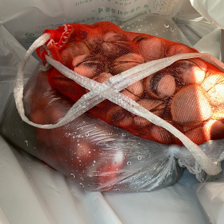  마시안갯벌체험 대만족, 준비물과 서해안물때표 확인은 필수