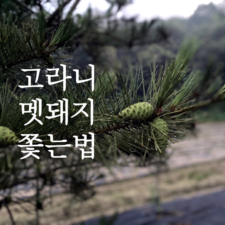  고라니 멧돼지 쫓는 법, 태양광점멸경광사이렌과 그물망 활용하기