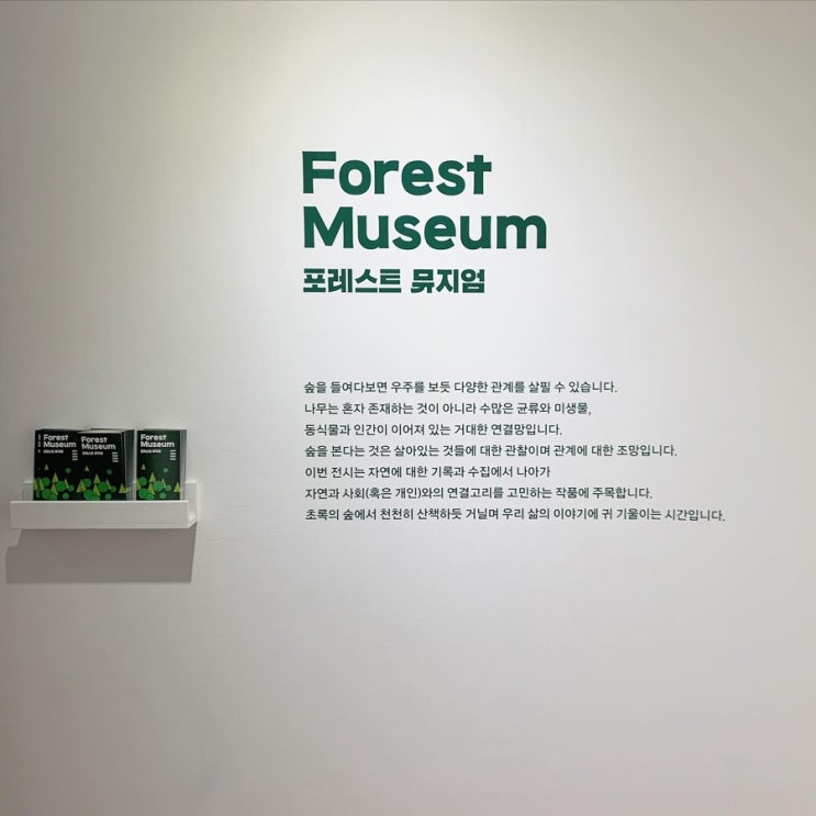  춘천 상상마당 전시 @포레스트 뮤지엄