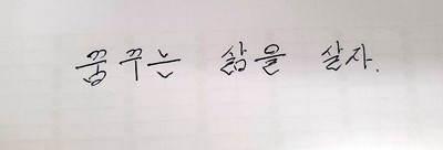  글씨연습 "단정하게 글씨 적는 연습"
