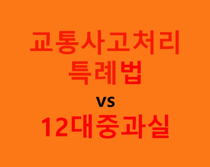  교통사고처리특례법 vs 12대중과실