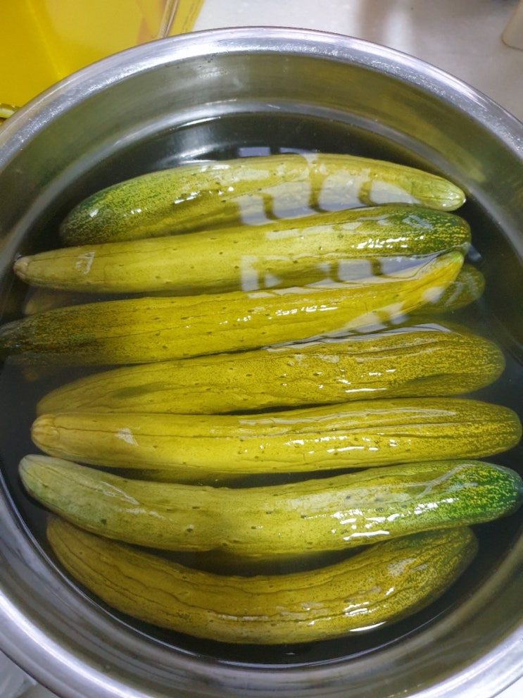  [판매완료] 오이지오이