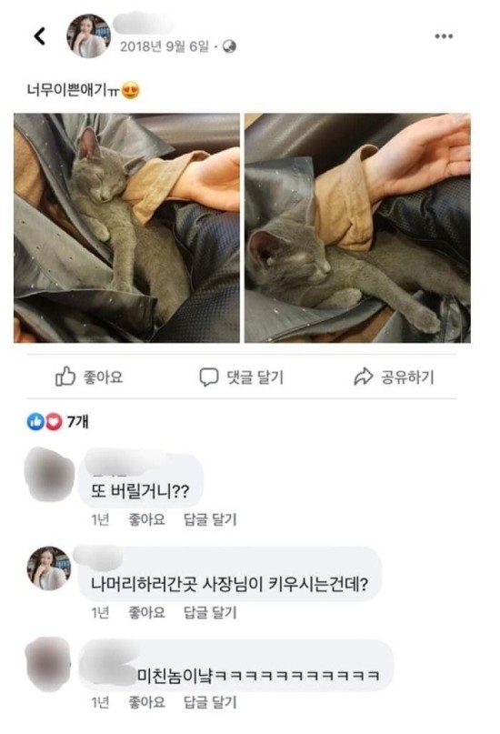  '개는 훌륭하다 코비' 현재 난리난 코비 보호자 과거 sns...