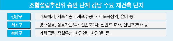 “실거주 2년 규제 피하자”…강남 재건축, 시간과의 싸움 돌입