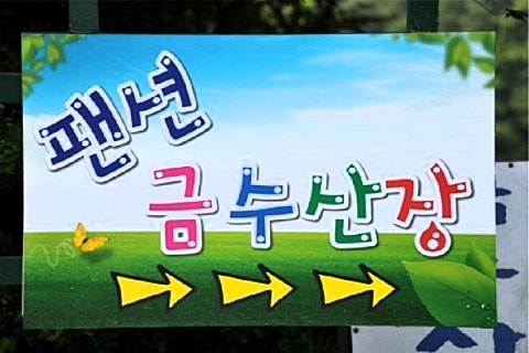 산장펜션 캠핑장 이미지