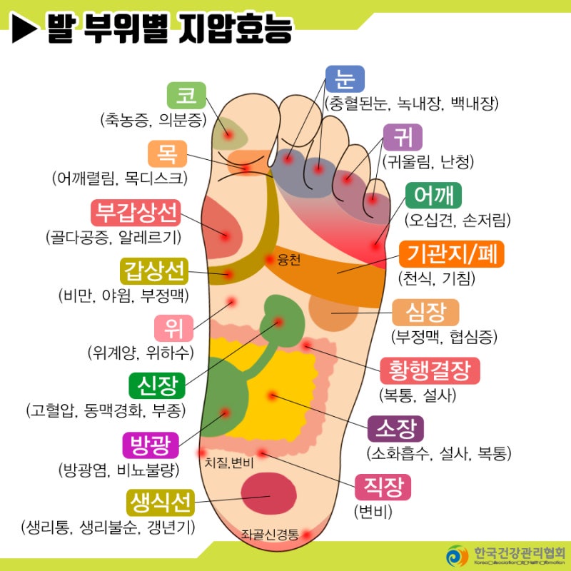 발마사지 발바닥 종아리 마사지 시원하게 쓰다 발 마사지기