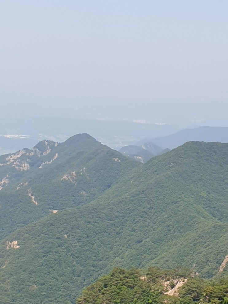  100대명산-43, 충청북도의 알프스 구병산 최단코스 등산(구병리~쌀개봉~풍혈~구병산~원점)
