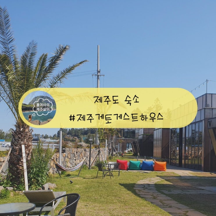 「제주도, 서귀포」 제주 파티게하추천 제주게토 게스트하우스 「제주도, 서귀포」 제주 파티게하추천 제주게토 게스트하우스