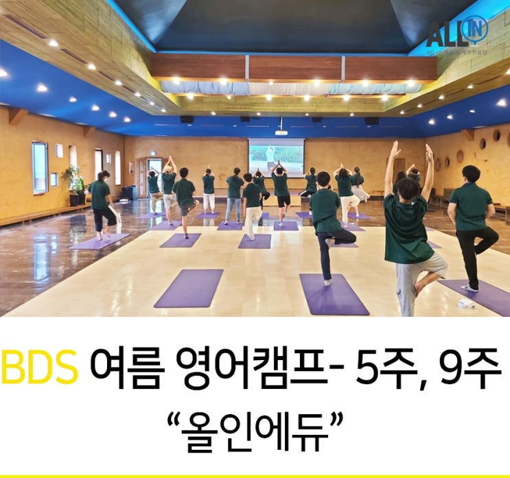  BDS 여름 영어캠프 비용 및 시간표 안내