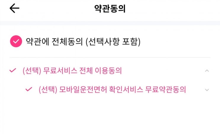  PASS 앱에 모바일 운전면허증 오류 대처법 (등록 방법)