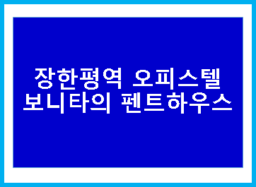  장한평역 보니타 오피스텔의 펜트하우스 소개