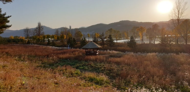 [자라섬 남도] 가평군 자라섬에 위치한 남도 여행기