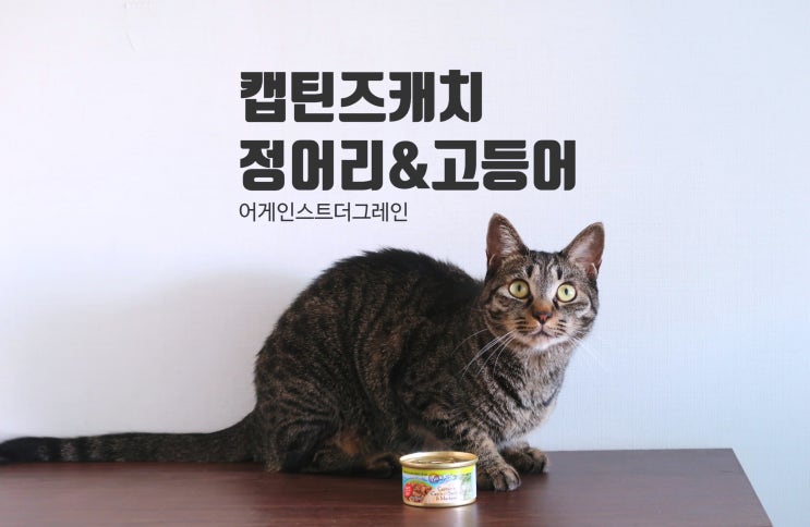  고양이캔 리뷰: 어게인스트더그레인 캡틴즈캐치 정어리&고등어