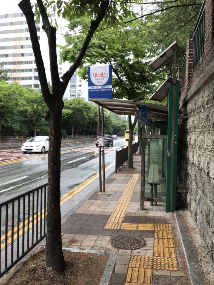 슬쌍디아빠 교단일기 FILE 025 / 비오는 거리