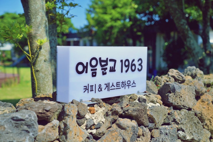 애월읍 어음분교1963 게스트하우스! 가족을 위한 단독게하 & 여성을 위한 여성전용 1인1실게하~ 가성비 넘치는 게하를 소개합니다! | 알쓸리뷰X숙박