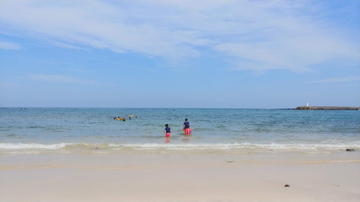 표선 소금막 해변 제주도 해수욕장 표선 소금막 해변 제주도 해수욕장