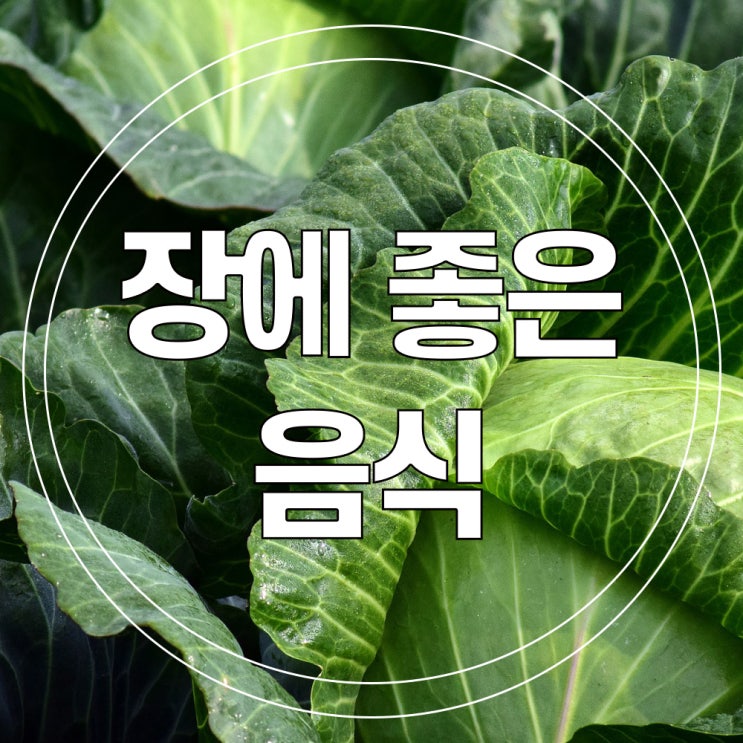  장에 좋은 음식으로 장염 예방하기