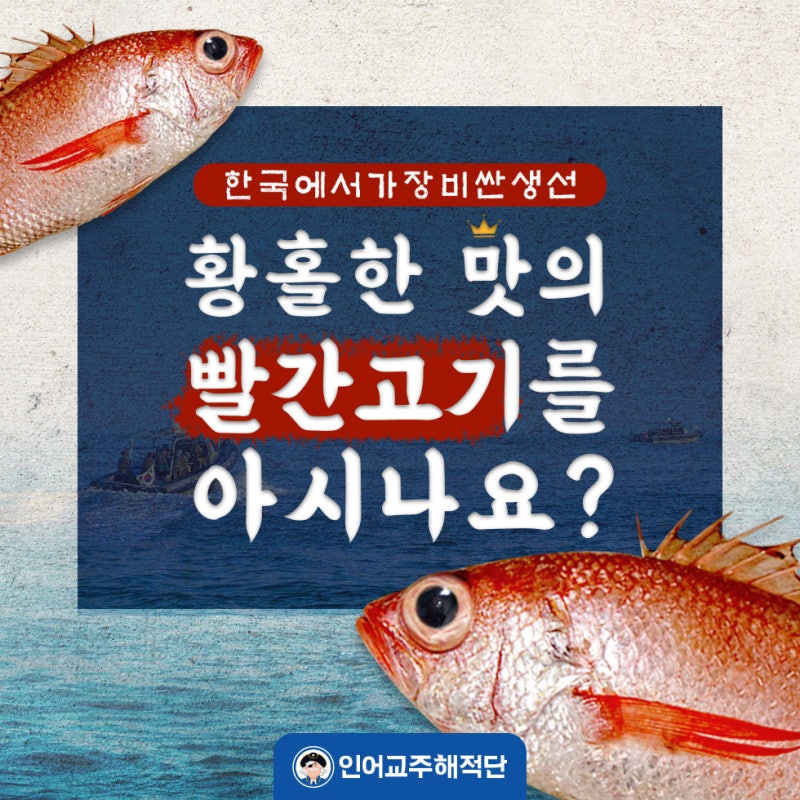 '빨간고기'의 진짜 이름, 눈볼대(금태)를 아시나요? : 네이버 블로그