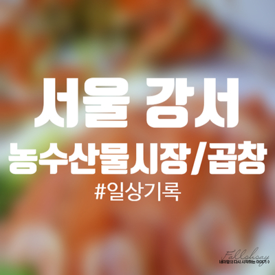  [강서구]수산물시장/등촌 곱창 내돈내산 맛집
