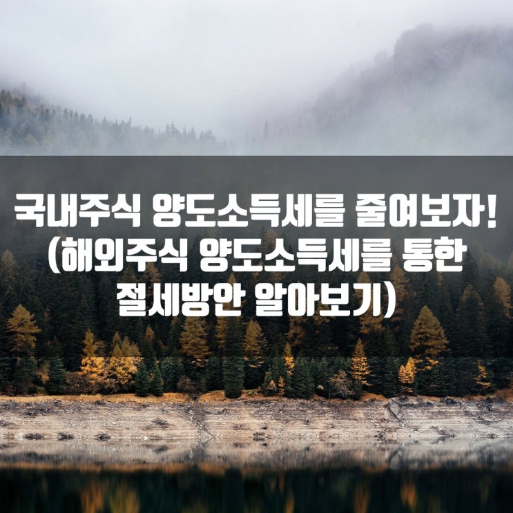  국내주식 양도소득세를 줄여보자! (해외주식 양도소득세를 통한 절세방안 알아보기)