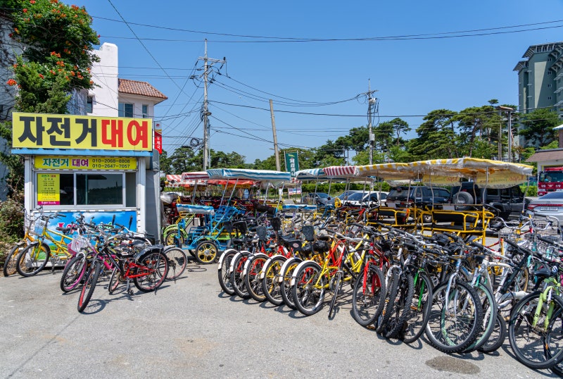 경포호 자전거 대여 가격