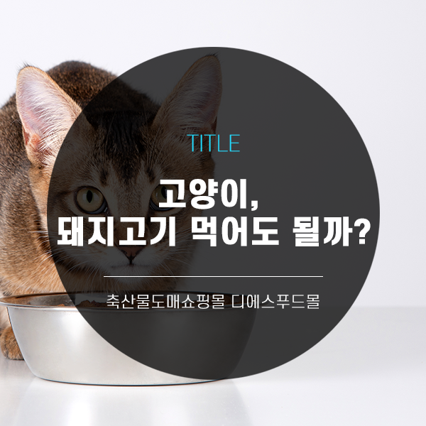  [디푸의 고기정보]고양이, 돼지고기 먹어도 될까?