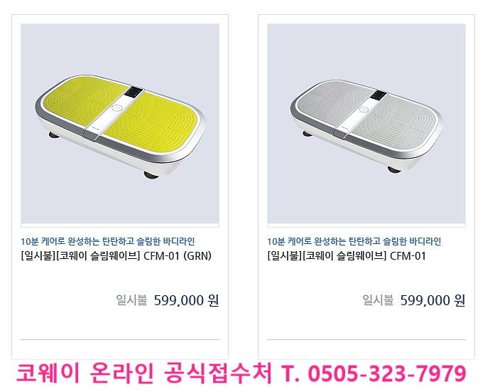 덜덜이진동운동기구중 슬림웨이브 코웨이꺼 진솔후기