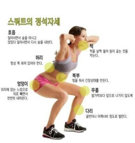  스쿼트 운동 효과 헬스 피트니스 홈트 다이어트
