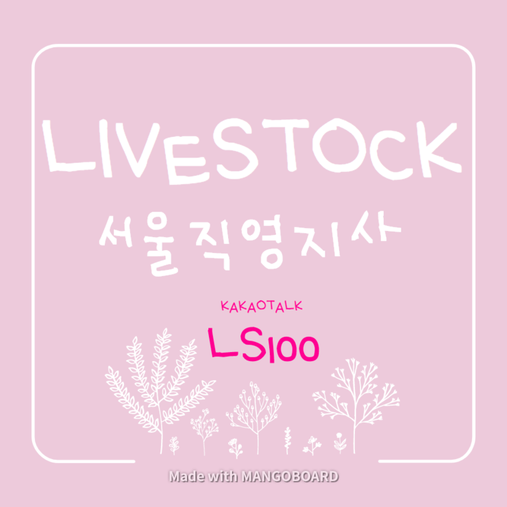  리치로또 보다 더 좋은 라이브스톡