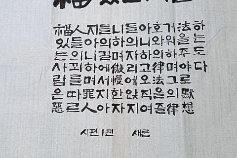 하루캘리서예 이미지
