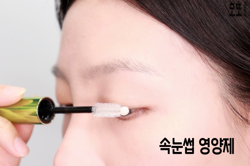 [에뛰드] 디렉터 파이 PICK! 눈이 식지 않는 파워래쉬 속눈썹 보충제를 추천하는 이유