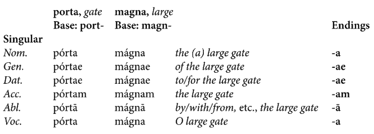 Wheelock's Latin 공부하기 2과 1st Declension Nouns/Feminine Adjectives Wheelock's Latin 공부하기 2과 1st Declension Nouns/Feminine Adjectives