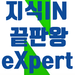  네이버엑스퍼트 지식인업그레이드VER