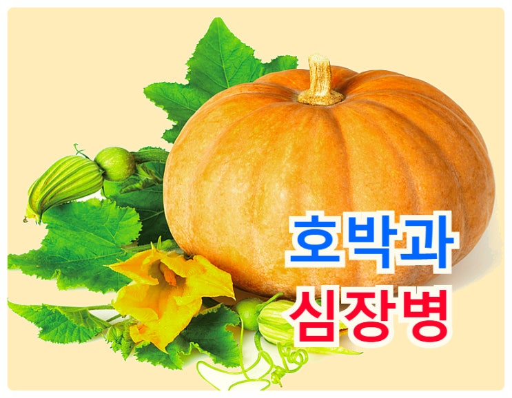  심장에 좋은 음식- 호박의 베타카로틴..   심근경색 전조증상은?
