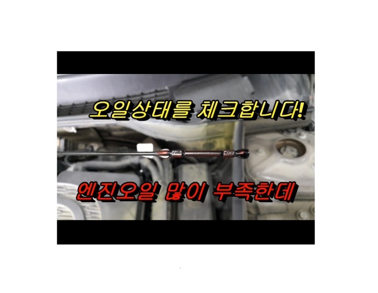  BMW미니쿠퍼 디젤차 합성엔진오일교환 동영상 ,훈훈한 이벤트 "우리싸장님이 미쳤나봐요 최고급 아르데카 합성엔진오일교환하면 디테일링오일교환무료래(잔유제거+오일휑굼샤워),부천부영수퍼카