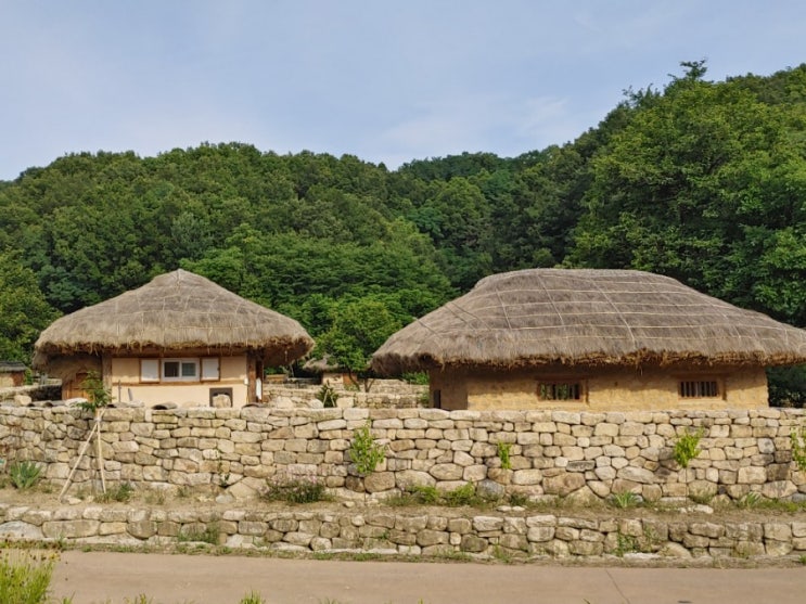  [조선시대]제주도의 거상 김만덕