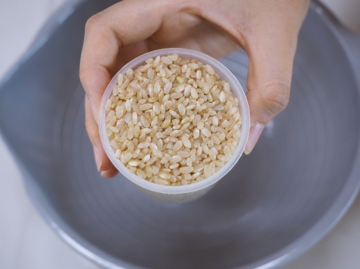현미밥 짓는 법!! / 알찬알곡 현미쌀