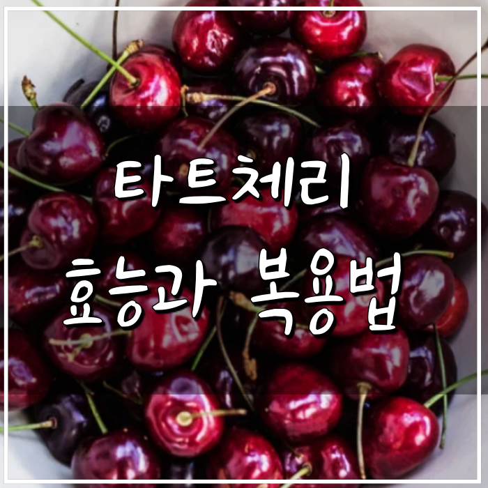  타트체리 복용법,이제 타트체리쥬스로 해결(feat. 효능)