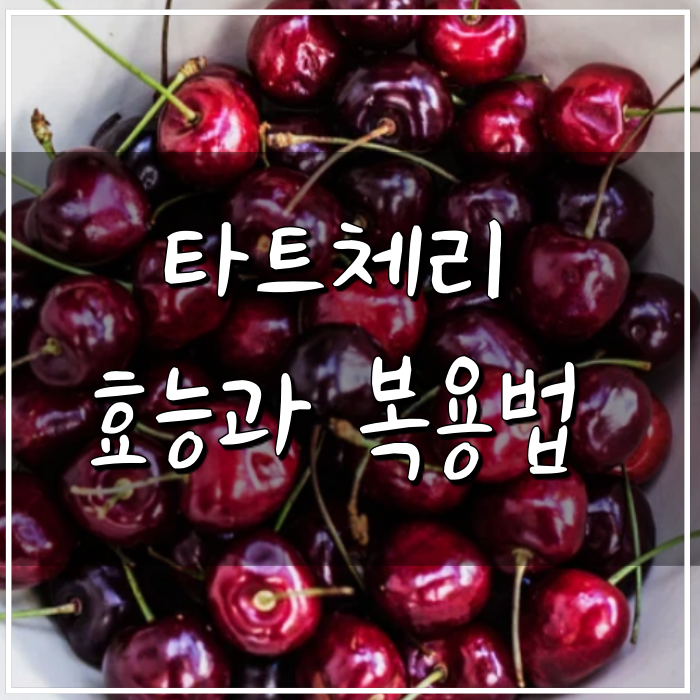 타트체리 복용법,이제 타트체리쥬스로 해결(feat. 효능)