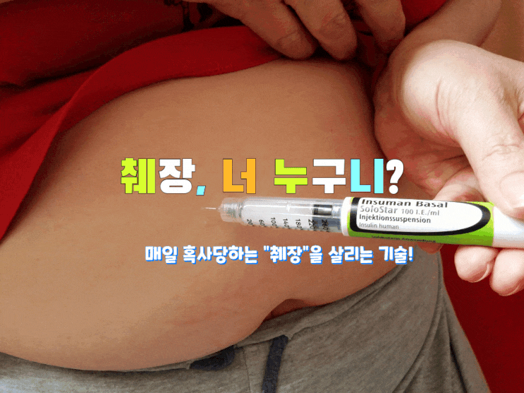 매일 혹사당하는 "췌장"을 살리는 기술! 매일 혹사당하는 "췌장"을 살리는 기술!